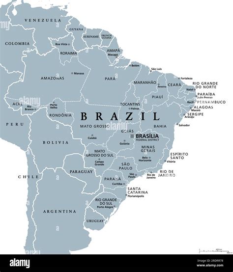 States of Brazil, gray political map. Federative units with borders and capitals. Subnational ...