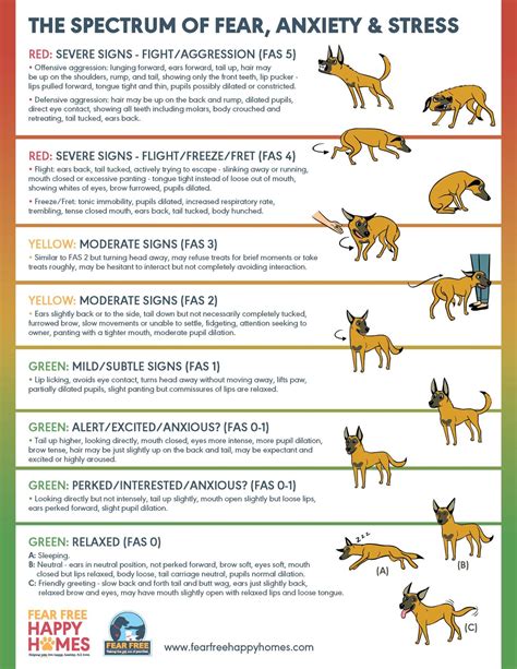 Assessing Aggression Thresholds In Dogs at Roger Marino blog