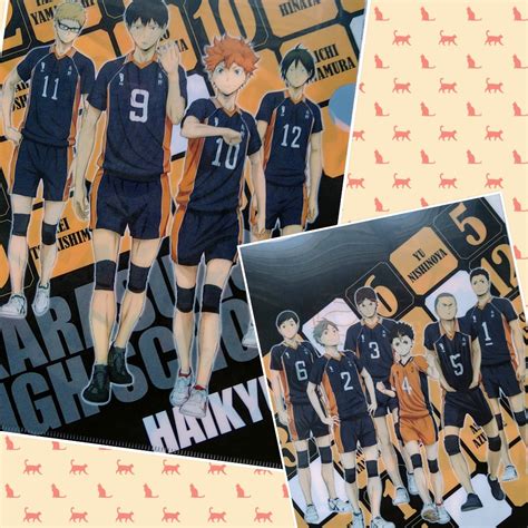 Haikyuu! Jump Shop Exclusive Karasuno Team A4 Anime Clear File - Hinata ...