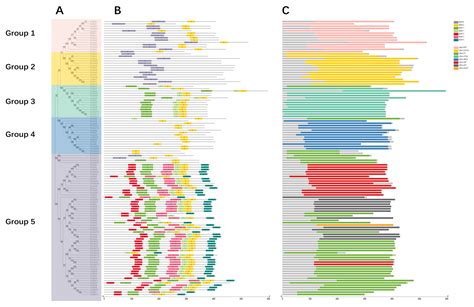 Genome-Wide Identification and Expression Analysis of UBiA Family Genes Associated with Abiotic ...