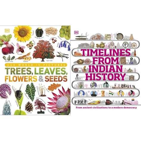 Our World in Pictures: Trees, Leaves, Flowers & Seeds: A visual ...