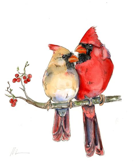 Original Red Cardinal Pair Male and Female Watercolor Painting ...