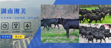 羊场选址的要求_湖南湘美黑山羊繁育有限公司