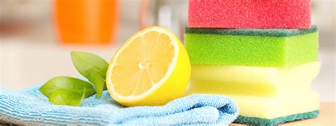 Image result for Spring Clean House