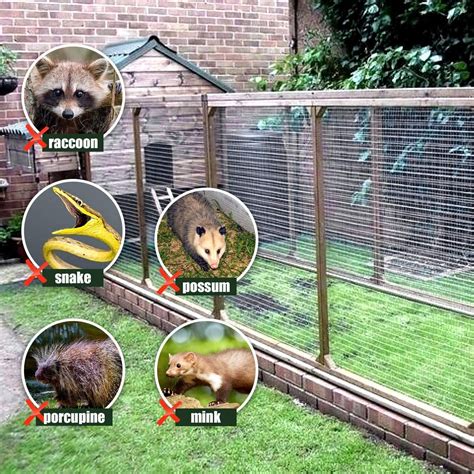 Buy 48X50' 1/4 Hardware Cloth Galvanized Chicken Wire Welded Fence Mesh ...