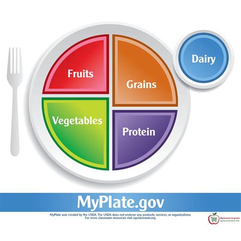 Myplate Poster