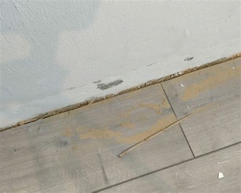 Fix Lifting & Bouncing Laminate Flooring (Expansion Problem) : 20 Steps ...