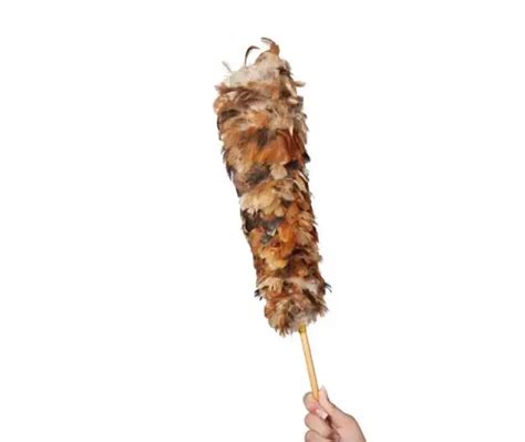 Using Feather Duster 的图像结果