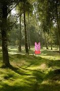 Image result for Cute Pink Bunny
