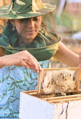 Bee Veil - Effortless Honey Harvesting | Kera Herb