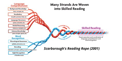 Science of Reading | NC DPI