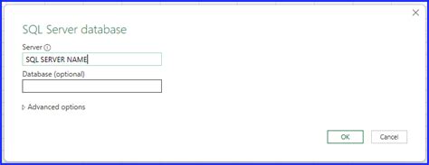 Image result for Excel SQL Server Query