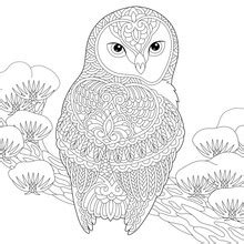 Image result for WP Spring Code