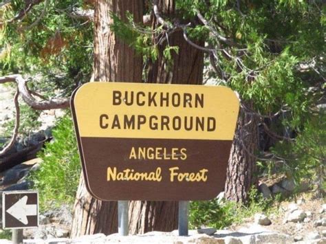 Utah National Forest Campgrounds: Booking & Reservations