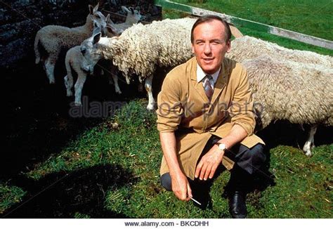 All Creatures Great  的图像结果