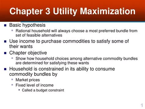 Utility Maximization Theory 的图像结果