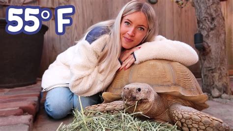 Image result for Tip Toe Cast