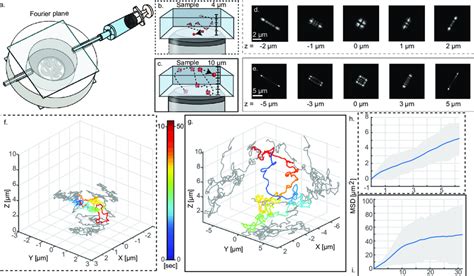 Single Particle Tracking 的图像结果