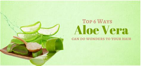 Top 6 Ways Aloe Vera Can Do Wonders To Your Hair! – Nutracart Healthcare
