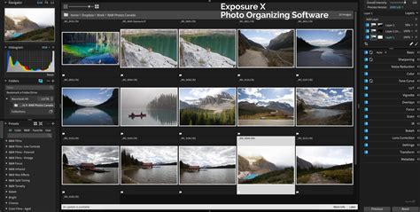 Image result for Photo Sorting Software