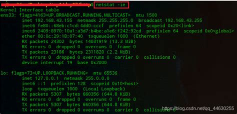 Linux系统下怎么查询自己的ip和port_阿Q正砖的博客-CSDN博客_linux查看ip和端口