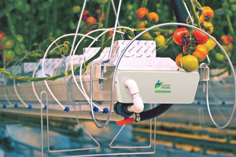 Image result for Fertigation Setup