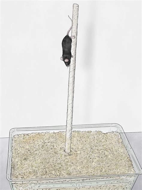 Pole Test - Scantox | Contract Research Organization