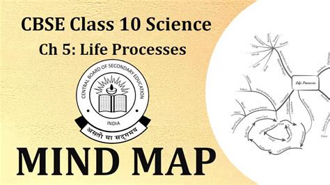 CBSE Class 10 Chapter 5 Science 2023 Mind Map: Life Processes Mind Map ...