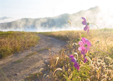 Image result for How to Create Emotional Connection