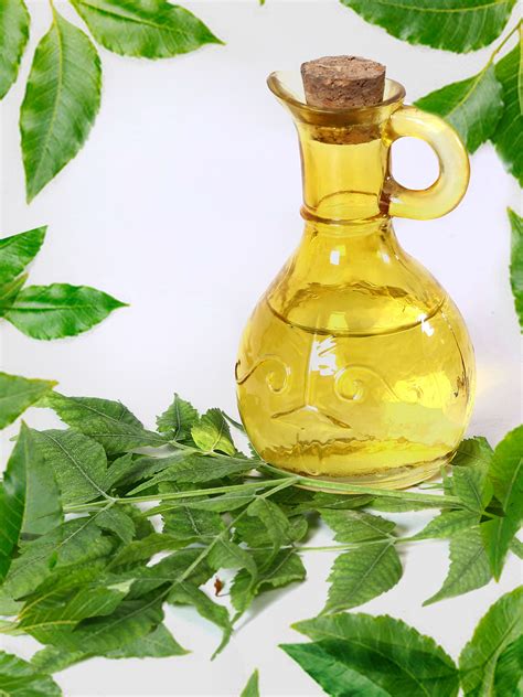 Beauty Benefits Of Neem Oil For Skin And Hair – Moraze Cosmetics