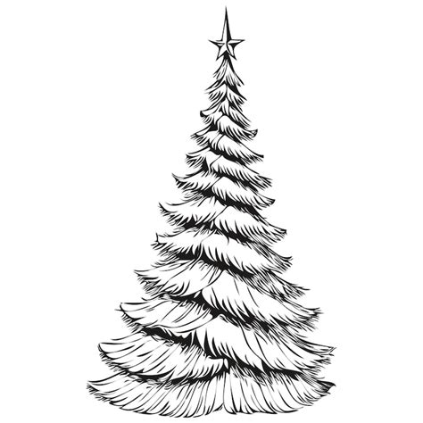 Weihnachtsbaum zeichnung-Vektoren – Lade kostenlose, hochwertige ...