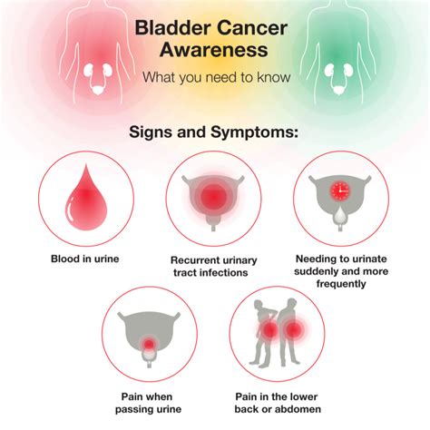 What Are The 5 Warning Signs Of Bladder Cancer