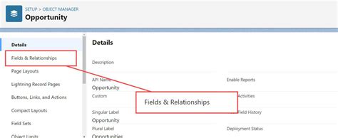 Image result for Salesforce Check Box in Report