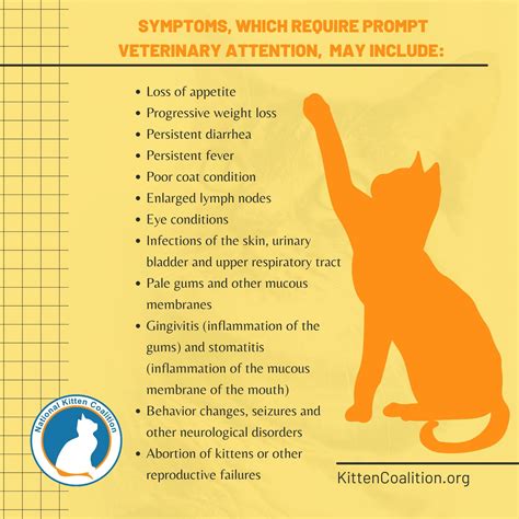 How Does A Cat Get Leukemia at Billy Mccormick blog