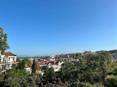 Data Intellect 的图像结果