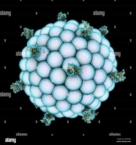 Nanoparticle, artwork. Nanotechnology involves designing systems on scales from the microscopic ...