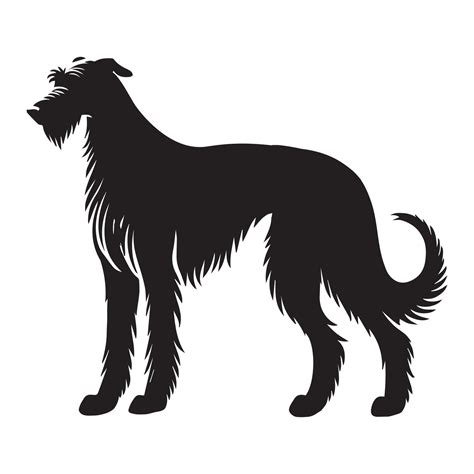 Silhouette Of Irish Wolfhound Jumping