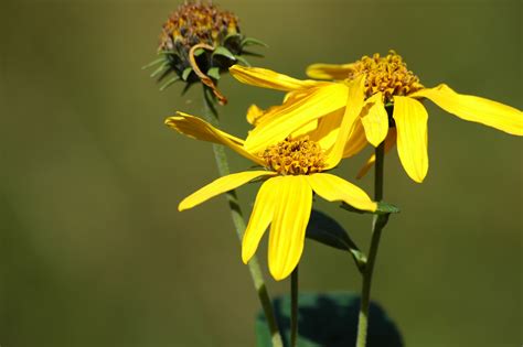 Seven Mile Creek Park