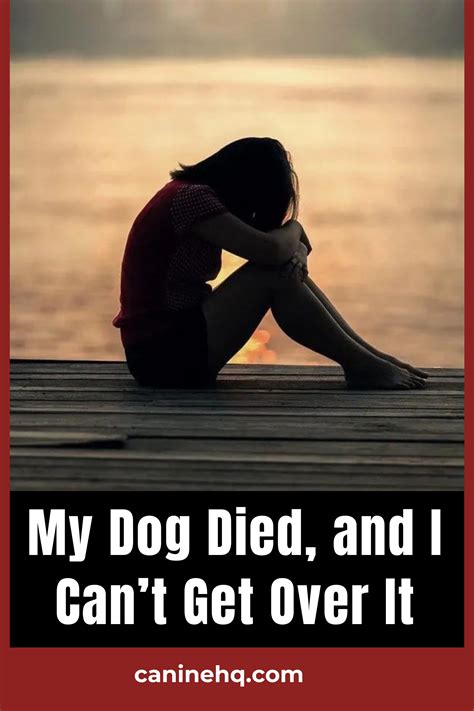 My Dog Died, and I Can't Get Over It | Dog died, Miss my dog, Dog heaven