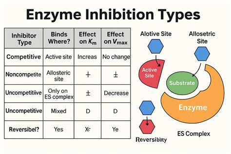 Enzyme Inhibition Types: Competitive vs Noncompetitive & Beyond (MCAT ...