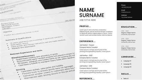 Image result for Work Resume Examples