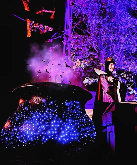 Evil Queen Disneyland Tumblr