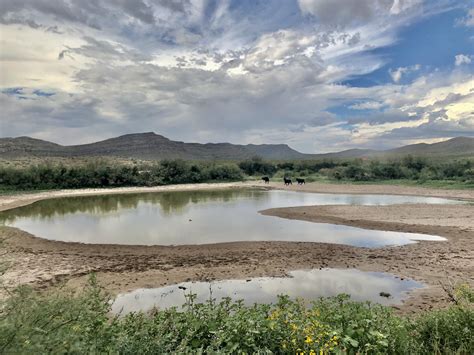 Still no indictment for brothers arrested in Sierra Blanca migrant ...