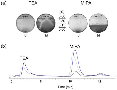 It Is Useless to Resist: Biofilms in Metalworking Fluid Systems