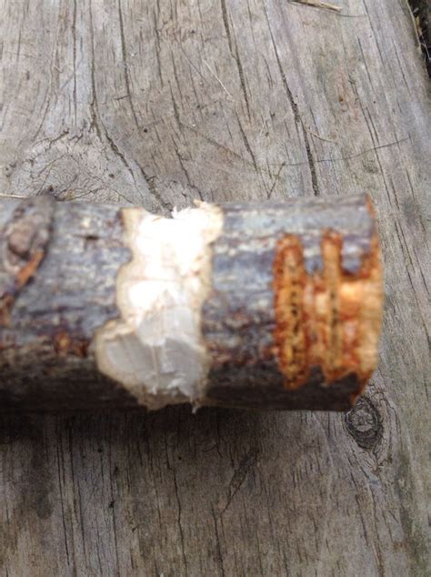 Friction Fire 的图像结果