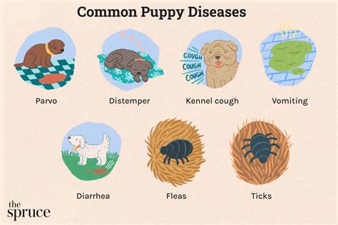 Spread Disease Like A Dog at Norris Carrico blog