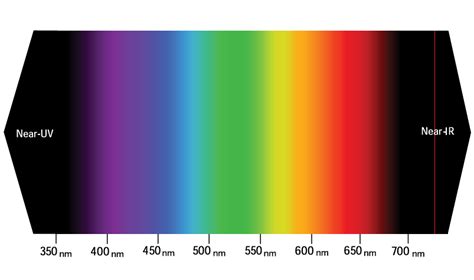Fluorescence Wavelength Range 的图像结果