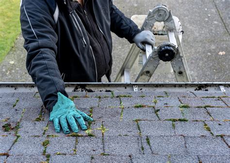 4 Best Roof Cleaning Products | Eagle Eye Roofing