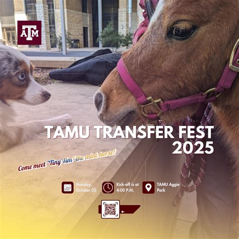 Tamu Transfer Course Equivalency