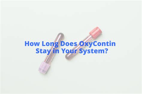 How Long Does OxyContin Stay in Your System? - Skypoint Recovery